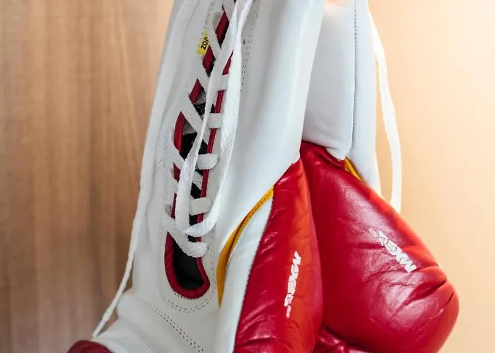 Star Sachsenhausen מלון דירות 4*